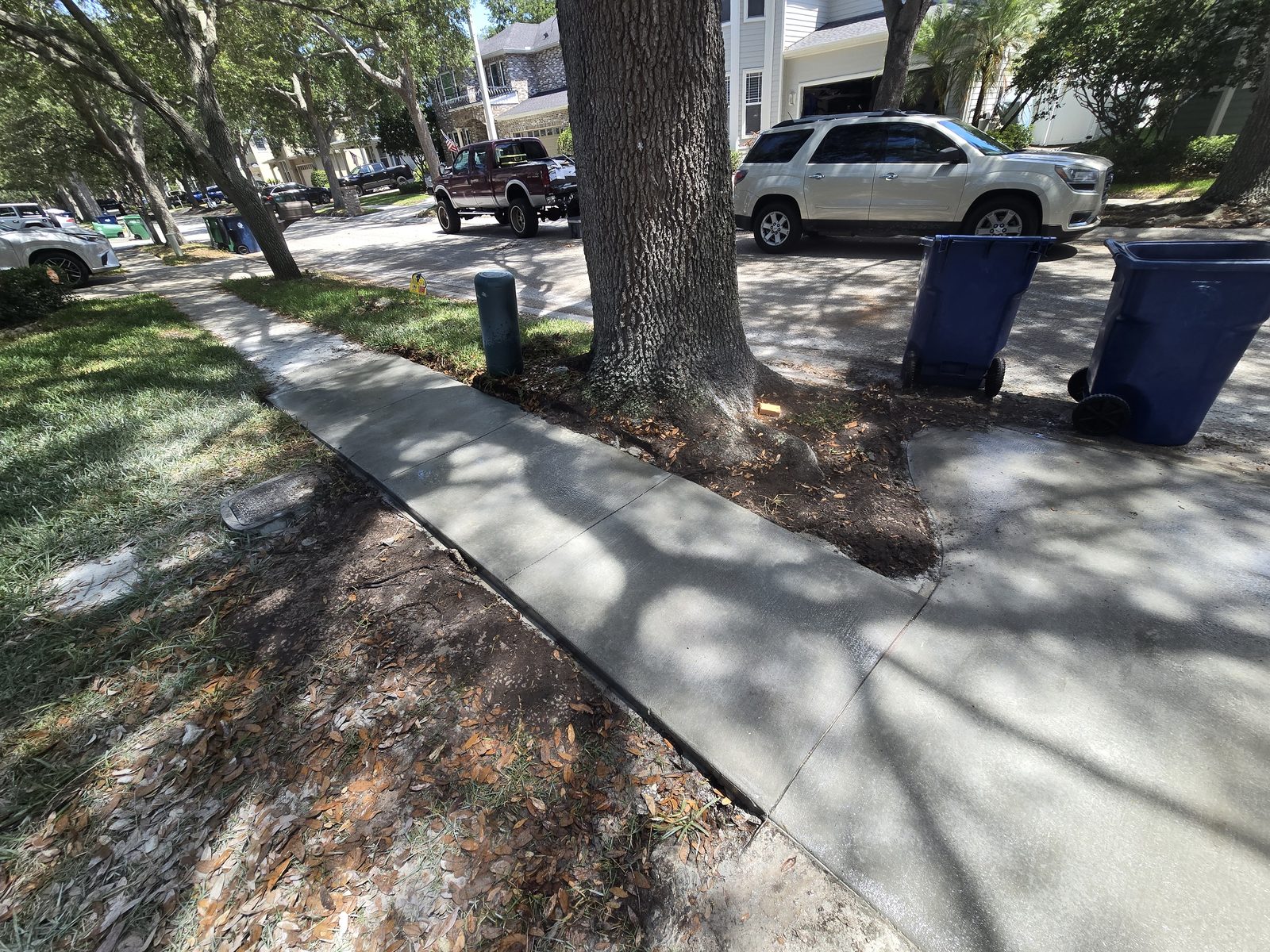 Custom curved sidewalk around mature oak tree